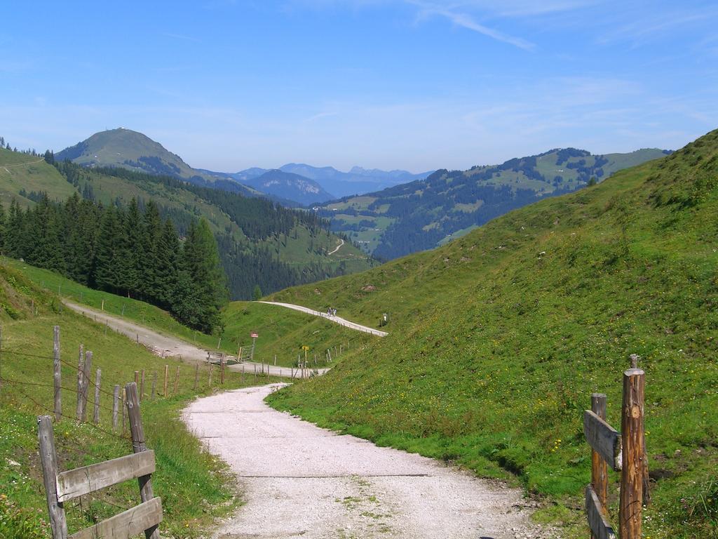 Gaestehaus Hofer Brixen im Thale Ngoại thất bức ảnh
